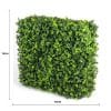 Portable Elm Hedge UV Resistant 75cm X 75cm