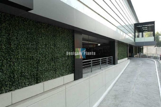 Driveway With Artificial Plants2