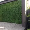 Jasmine / Camellia screen fake hedge