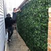 Artificial / fake ivy panels installed onto a side fence