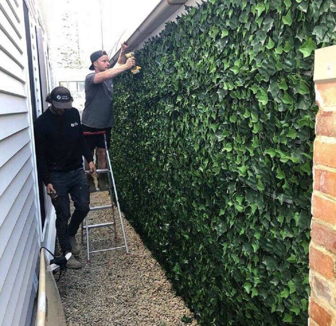 Artificial / fake ivy panels installed onto a side fence