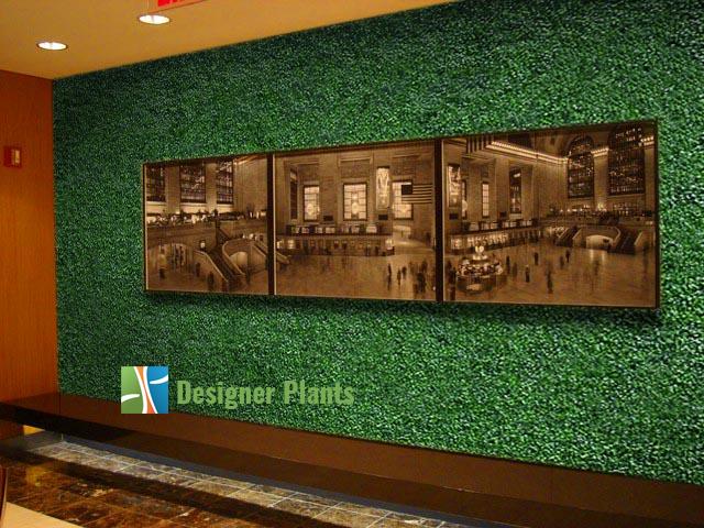 indoor green wall