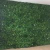 Commercial hallway for an office with a vertical garden