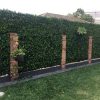 Artificial spring sensation hedge on a backyard fence for privacy