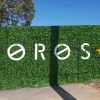 Commercial building wall with artificial sprig sensation panels