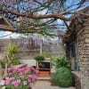 Beautiful Artificial Topiary Ball Boxwood For Outdoors