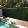 Artificial unreal looking hedge panel along a pool fence