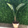Fake mixed green tropic wall vertical garden