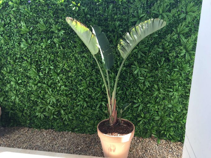 Fake mixed green tropic wall vertical garden