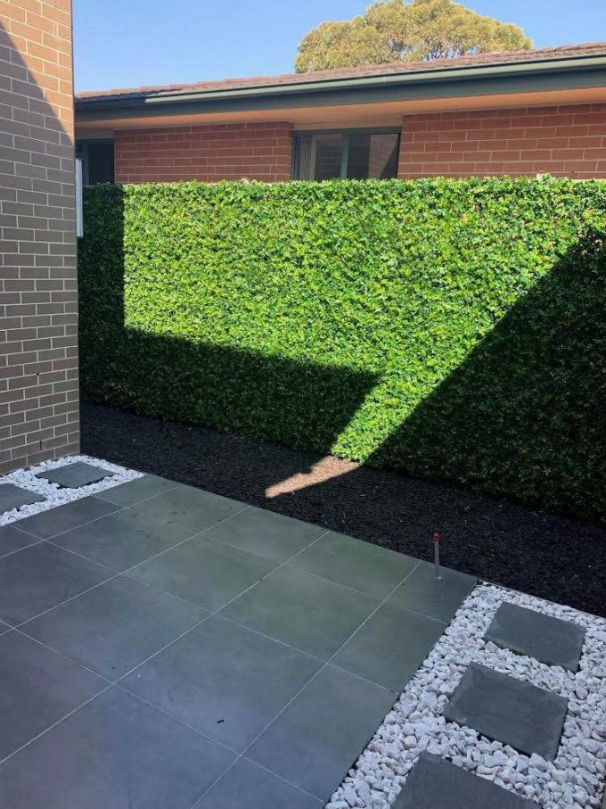 Luxury Spring Sensation Hedge Screen Green Wall Panel UV Resistant 100cm x 100cm