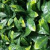 Fake Gardenia Hedge Panel