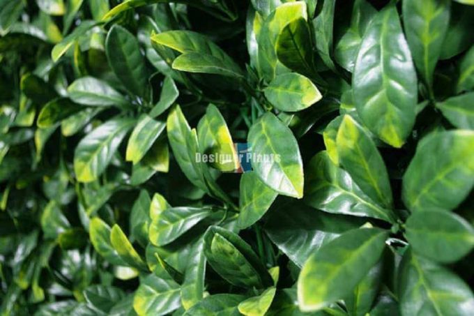 Fake Gardenia Hedge Panel