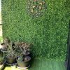 Premium Extra Large Boxwood Hedge Tall Privacy Screen