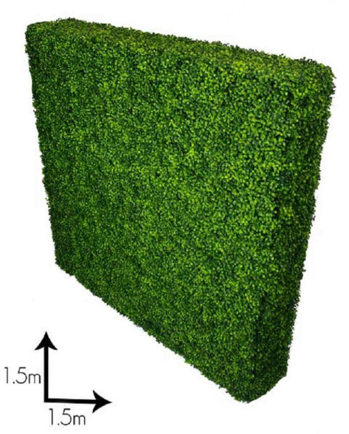 Large hedges for functions and events