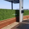 Large Portable Mixed Boxwood Hedge UV Resistant 100cm Long x 200cm High