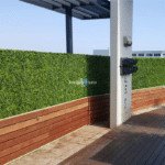 Large Portable Mixed Boxwood Hedge UV Resistant 100cm Long x 200cm High