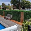 Artificial-jasmine-hedge-tiles-around-a-pool-area