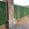 Dense and Natural Looking Jasmine Hedge Wall panels