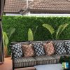 Lavandula Back room green wall view