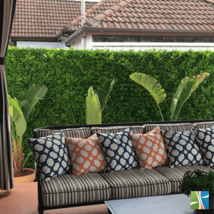 Lavandula Back room green wall view