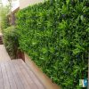 Lavandula green wall transformation July
