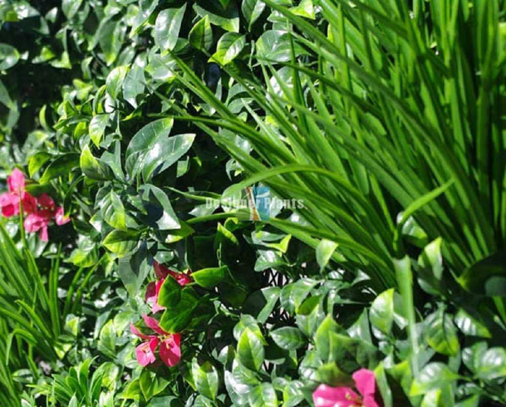 Fake vertical garden
