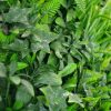 Artificial Plant-Green Tropics Vertical Garden / Green Wall UV Resistant closeup2