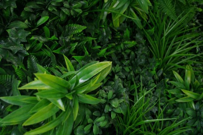 Artificial Plant-Green Tropics Vertical Garden / Green Wall UV Resistant closeup