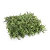 fake buxus hegde panel