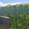 Luxury Green Tropics Wall Fence