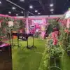 Display of Luxury Green Tropics with other plants
