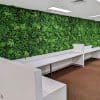 Green Tropics New