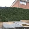 Premium Artificial Buxus Wall next to poolside on wooden fence frame for added privacy