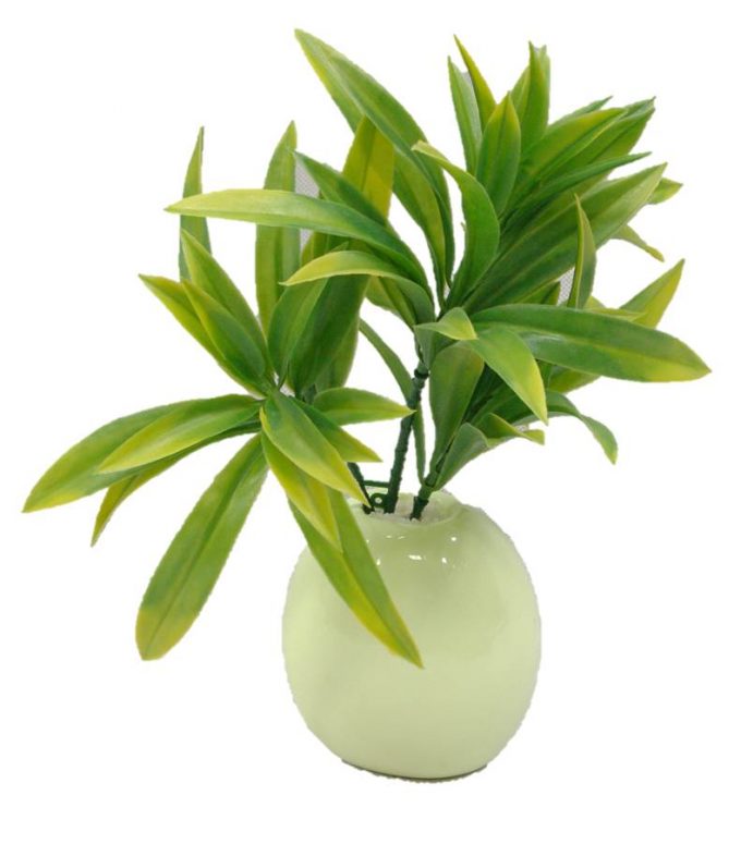 Dracaena (Yucca) Stem UV Resistantpot