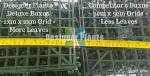 High Quality Fake Buxus Green Wall v Others