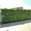Luxury White Oasis Vertical Garden / Green Wall UV Resistant 1m x 1m