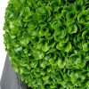 Artificial Plant-High Quality, Topiary Balls – 48cm + Leaves.