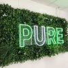 Green Tropics
