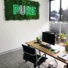 Office With Artificial Plants