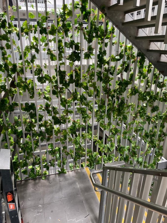 Ivy Garland Vines 260cm Each 5 Per Pack