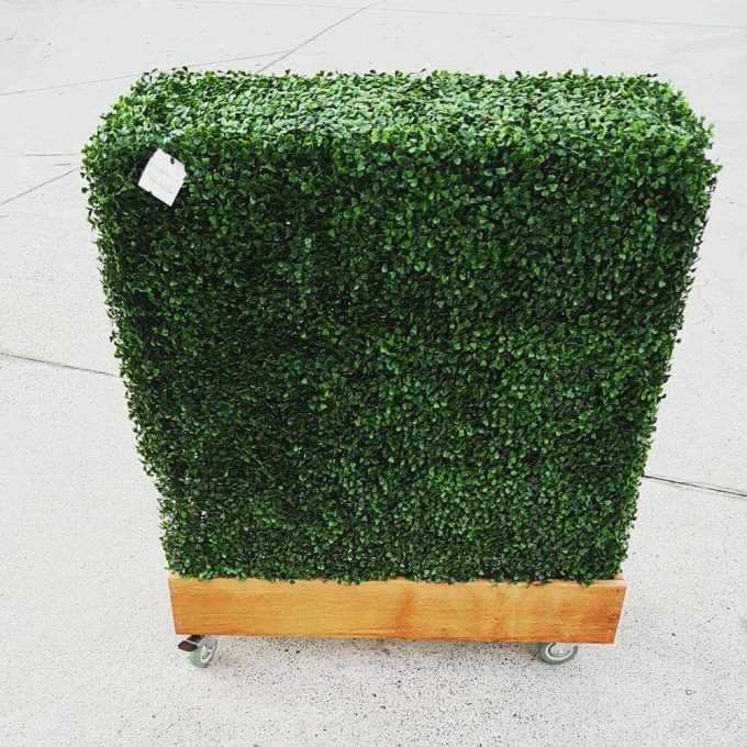 Boxwood Hedge (fake / artificial) on a timber planter
