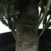 70cm Artificial Hedge Shrub Plant