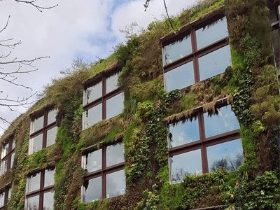 Real Artificial Vertical Garden and green wall in United Kingdom