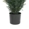 Steel Pipe Cypress Tree 180CM Height Outdoor UV Protected