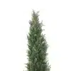 Steel Pipe Cypress Tree 180CM Height Outdoor UV Protected