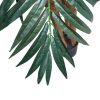 Large Tropical Palm Tree (Amazingly Real) 300cm