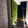 Mediterranean Fern Vertical Garden