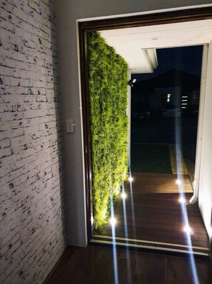 Mediterranean Fern Vertical Garden
