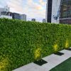 Apartment building balcony with green walls