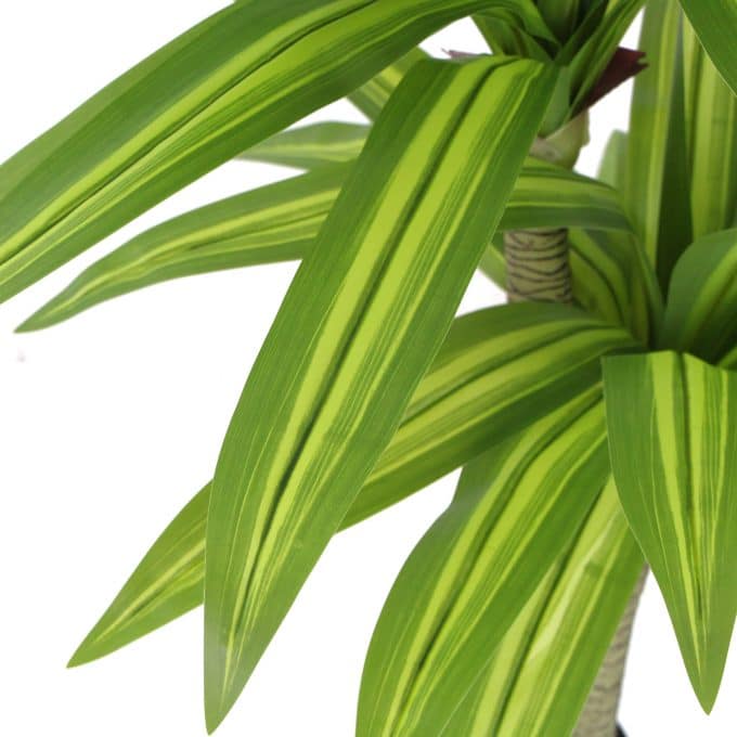 Artificial Muli Head Dracaena Tree with Mixed Green Leaves Close Up View